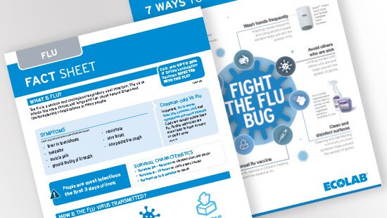 Flu Factsheet
