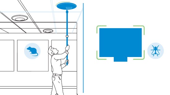 Technology-leading innovations